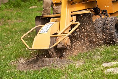 stump-grinding